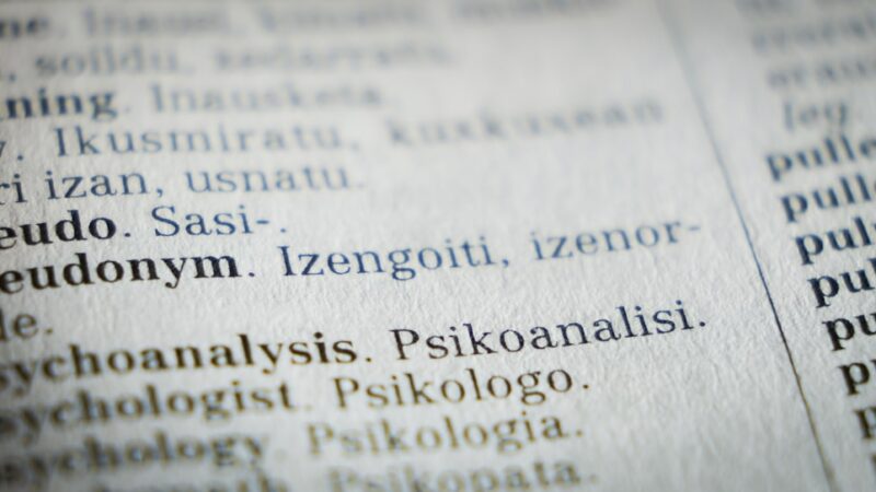 Vigtigheden af Professionel Oversættelse i en Globaliseret Verden